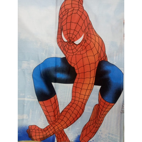 Spiderman cartoon